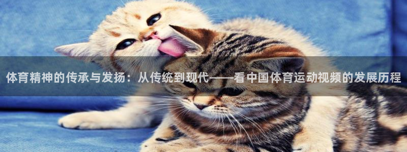 MK体育官方集团官网：体育精神的传承与发扬：从传统到
