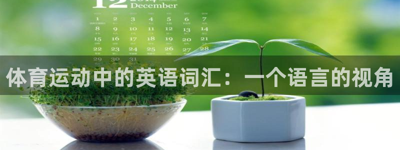 海南MK体育官网下载发展怎么样：体育运动中的英语词汇