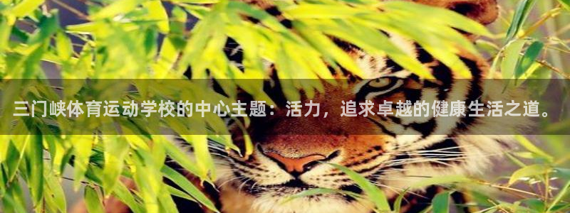 MK体育官方正版app科技：三门峡体育运动学校的中心