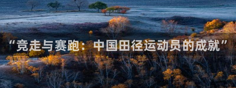 MK体育官方正版app科技：“竞走与赛跑：中国田径运