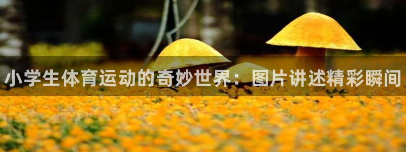 MK体育官方正版app娱乐平台：小学生体育运动的奇妙