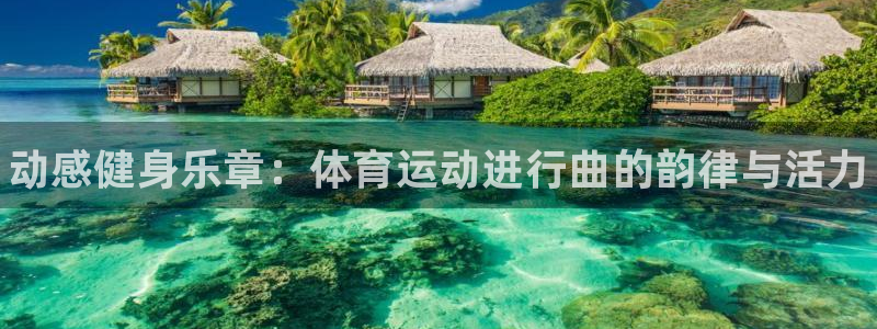 MK体育官方正版app娱乐下载：动感健身乐章：体育运