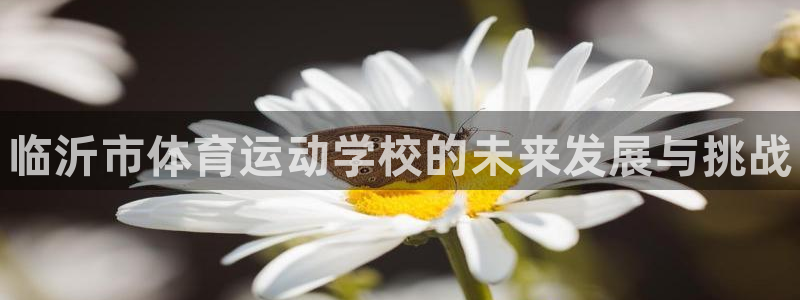 MK体育官方集团官网：临沂市体育运动学校的未来发展与