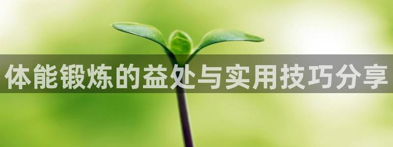 MK体育官方正版app集团：体能锻炼的益处与实用技巧