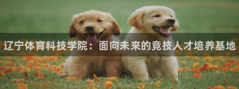 MK体育官方正版app官网：辽宁体育科技学院：面向未来的竞技