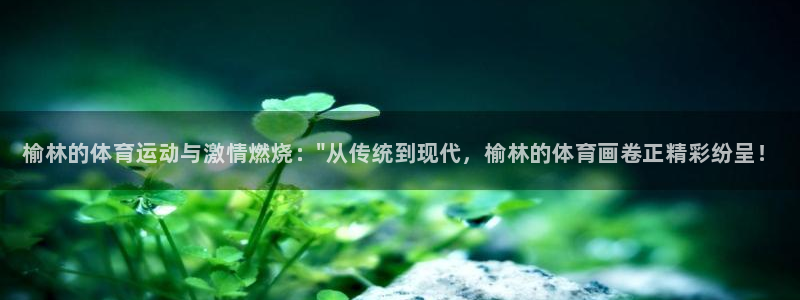 MK体育官网下载平台假的吗是真的吗吗