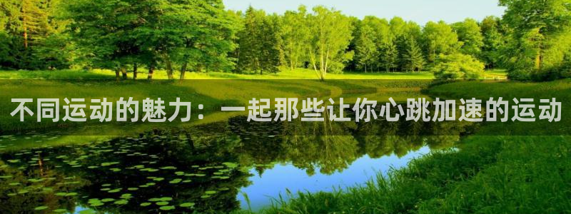 MK体育官方正版app娱乐首页网站大全：不同运动的魅