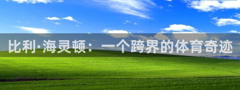 MK体育官方正版app官网