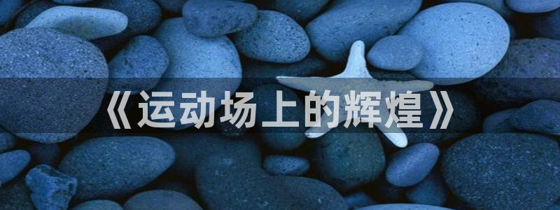 MK体育官方正版app代理：《运动场上的辉煌》