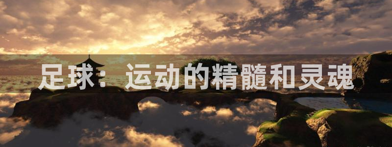 MK体育官方正版app娱乐下载：足球：运动的精髓和灵魂