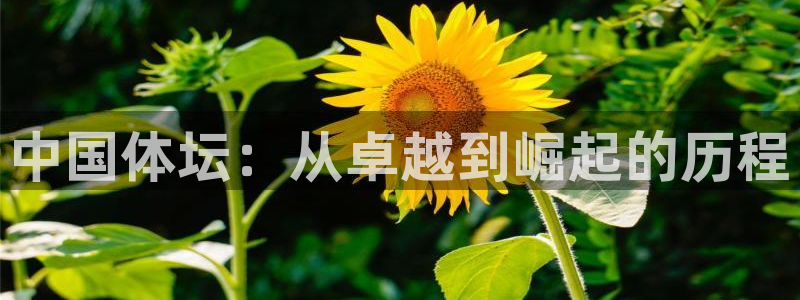 MK体育官网下载平台是正规平台吗：中国体坛：从卓越到