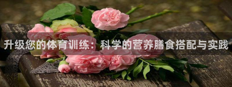 MK体育官方正版app官网：升级您的体育训练：科学的