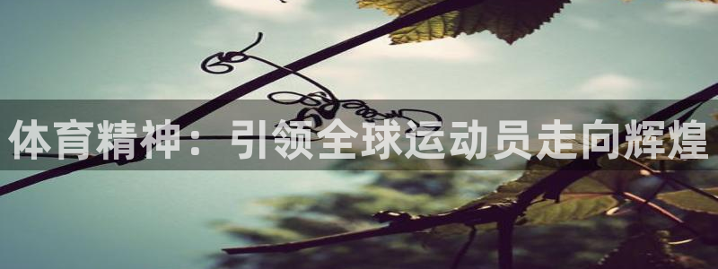 MK体育官网下载招商电话号码