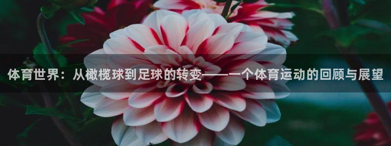 MK体育官网下载注册:体育世界:从橄榄球到足球的转变——一个