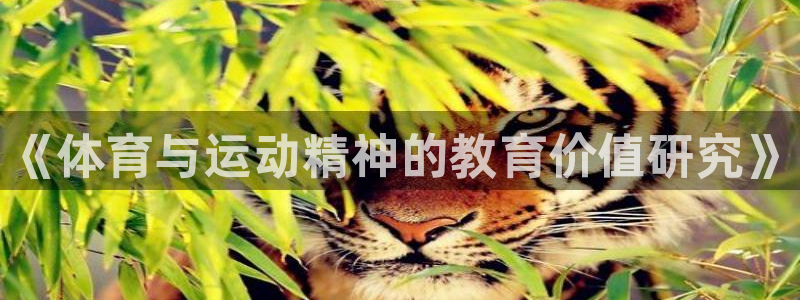 MK体育官方正版app娱乐是那个系列的台子:《体育与运动精神
