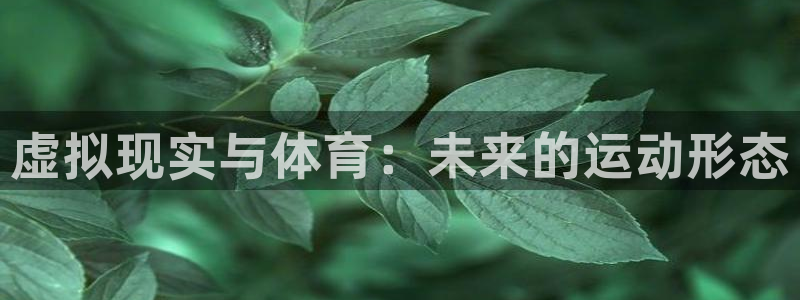 MK体育官网下载软件