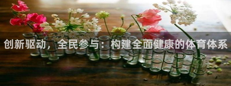  mk体育平台登录官网：创新驱动，全民参与：构建全面健康的体育