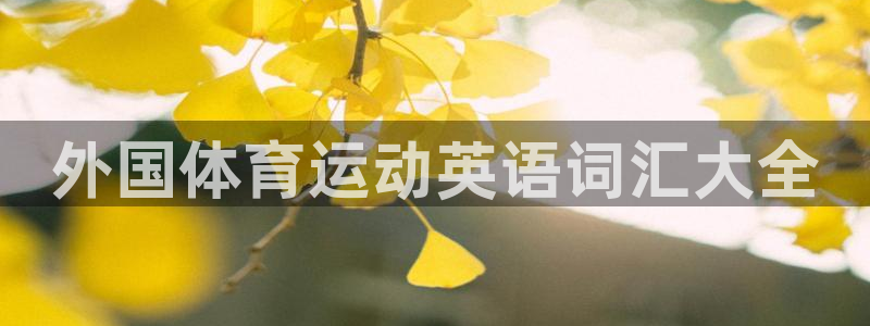 MK体育正规吗?：外国体育运动英语词