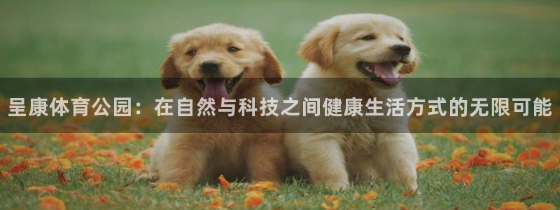  mk体育平台入口手机版安装：呈康体育公园：在自然与科技之间健