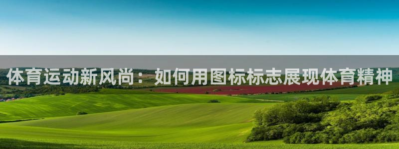 mk体育买的鞋是真的吗：体育运动新风尚：如何用图标标志展现体