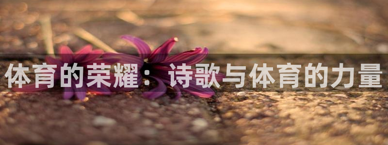 MK体育网页：体育的荣耀：诗歌与体育