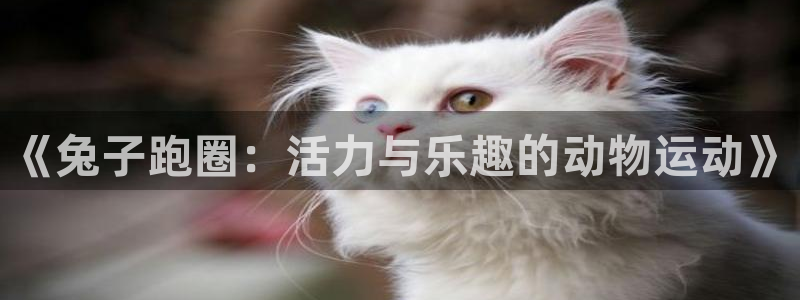 mk体育是黑台子吗知乎：《兔子跑圈：活力与乐趣的动物运动》