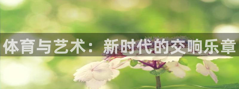 mk体育是黑台子吗知乎