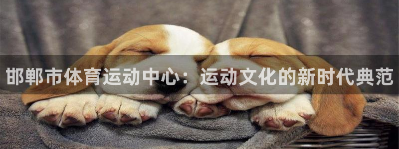  mk体育买的鞋是真的吗：邯郸市体育运动中心：运动文化的新时代