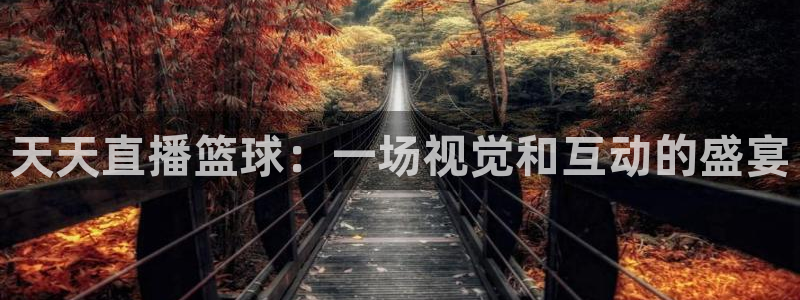 833篮球体育免费直播平台：天天直播篮球：一场视觉和互动的盛宴