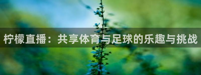 833体育直播在线观看：柠檬直播：共享体育与足球的乐趣与挑战