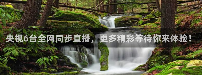 833直播比赛免费观看入口：央视6台全网同步直播，更多精彩等待你来体验！