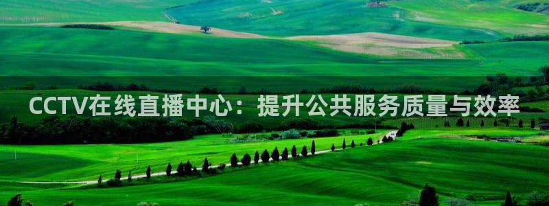 833足球直播免费直播：CCTV在线直播中心：提升公共服务质量与效率