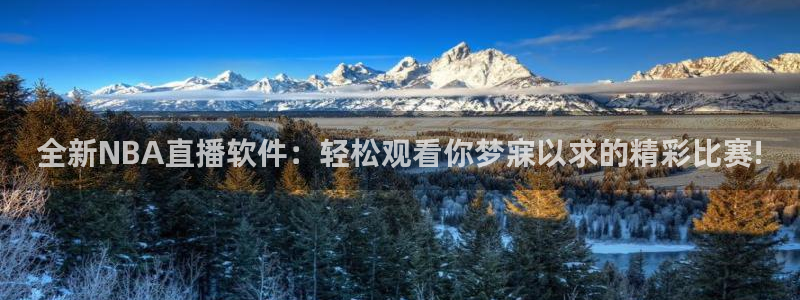 833体育直播在线观看：全新NBA直播软件：轻松观看你梦寐以求的精彩比赛!
