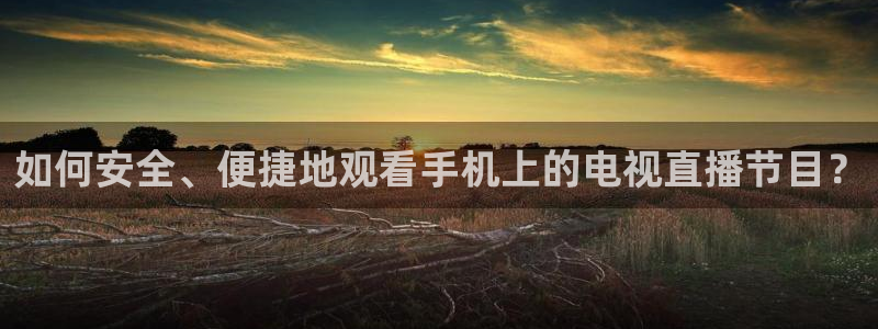 833足球比赛直播免费观看：如何安全、便捷地观看手机上的电视直播节目？